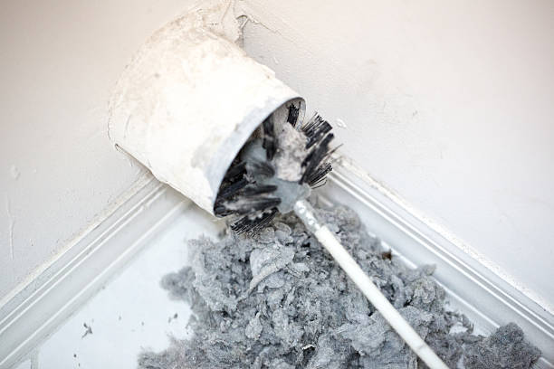 Best Professional Duct Cleaning Services  in Clermont, FL